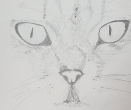 Ella. Sketch - Cat   30.03.20