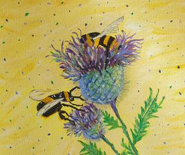 Thistle and Bees     20.04.20